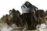 Dark Smoky Quartz Crystal Cluster - Brazil #154153-2